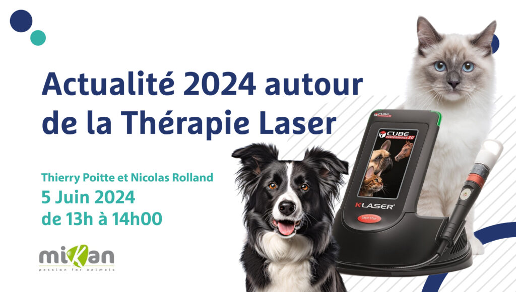 Actualité 2024 autour de la Thérapie Laser - Image