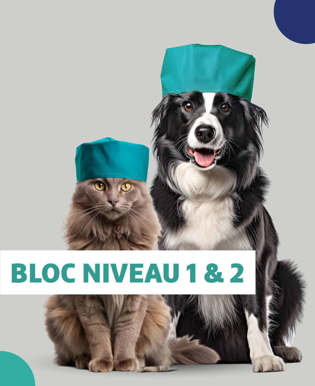 image-Bloc-EPU-Anesthésie-Niveaux-1-et-2