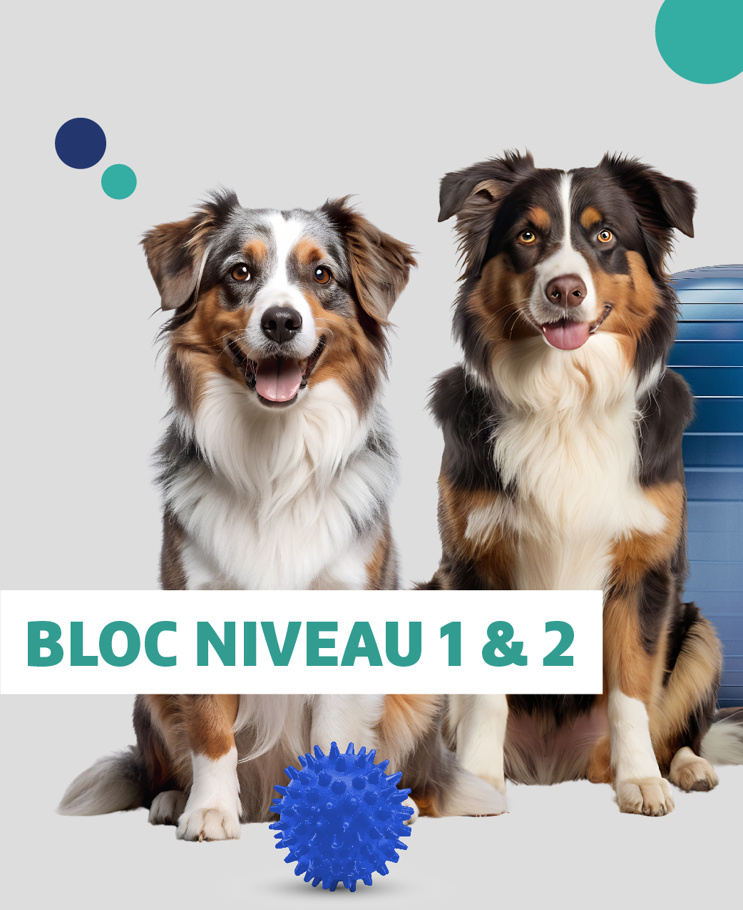 image-Bloc-EPU-Physiothérapie-et-Douleur-niveaux-1-&-2